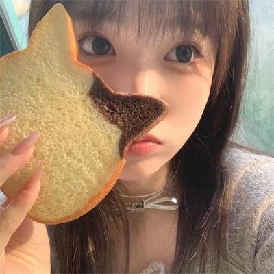 罗罗大冒险