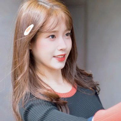 一条叫王子的狗